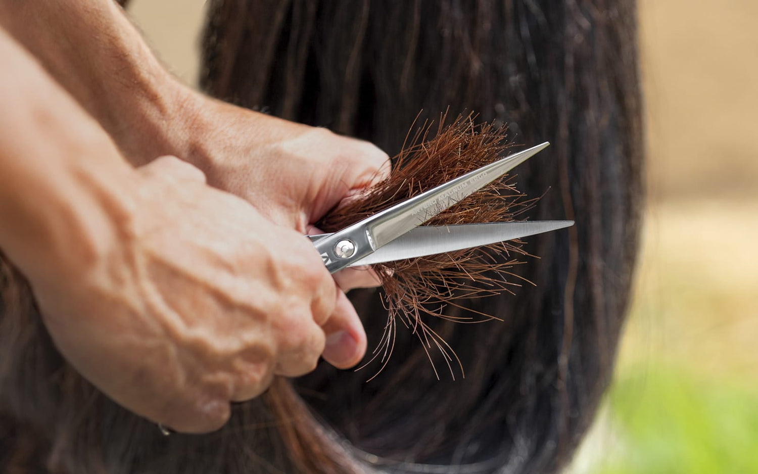 Artero Equine Care Scharen