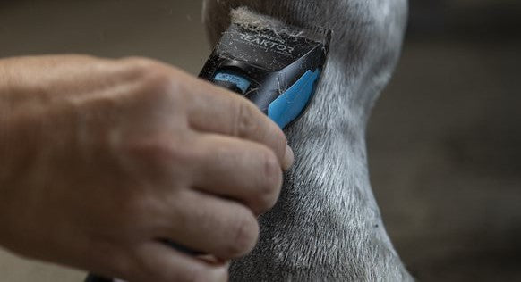 Artero Equine Care Scheermachines & Accessoires